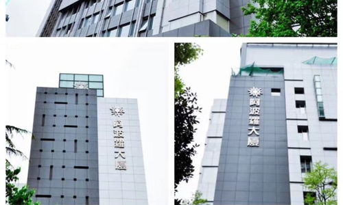 “上海上藤咨詢”、“尚藤教育”與“淘學培訓” 一文厘清機構間的差異與價值